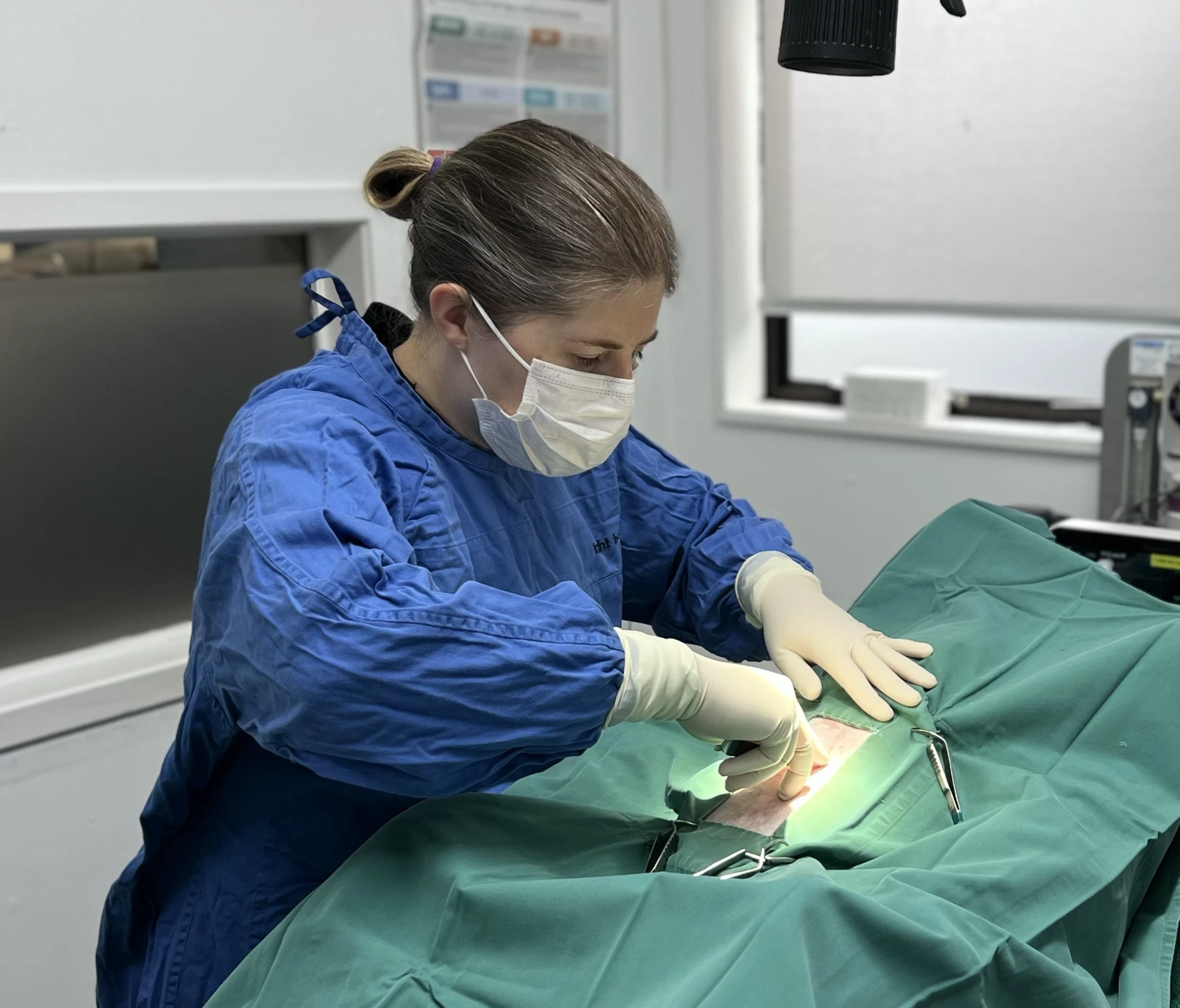 Dr Alice Steele performing veterinary surgery at The Vet Van mobile clinic